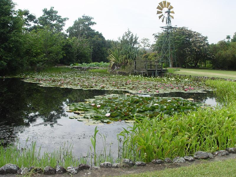 booroowhangary-nov09 040.jpg